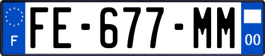 FE-677-MM