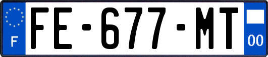 FE-677-MT