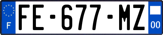 FE-677-MZ