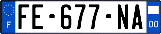 FE-677-NA