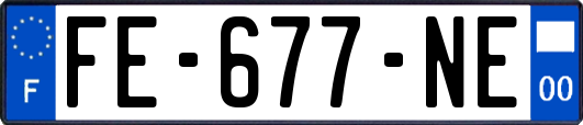 FE-677-NE
