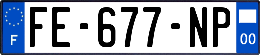 FE-677-NP