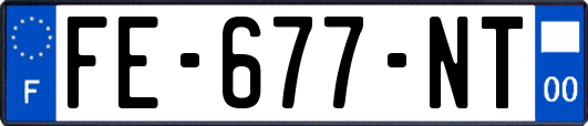 FE-677-NT