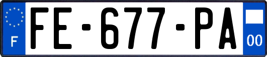 FE-677-PA