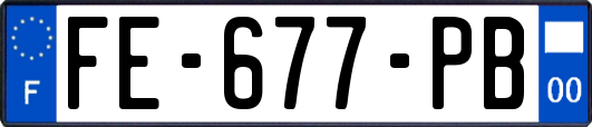 FE-677-PB