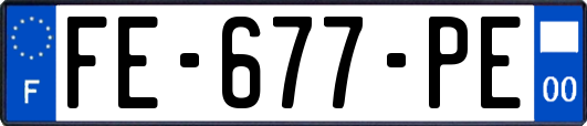 FE-677-PE