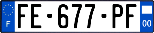 FE-677-PF