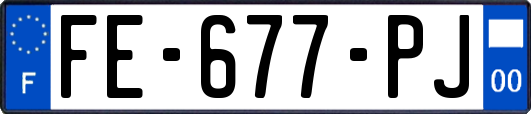FE-677-PJ