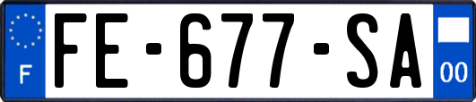 FE-677-SA