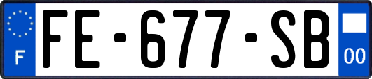 FE-677-SB