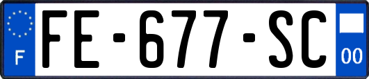 FE-677-SC