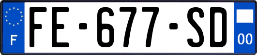 FE-677-SD