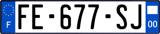 FE-677-SJ