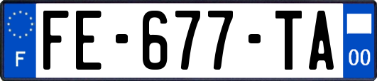 FE-677-TA