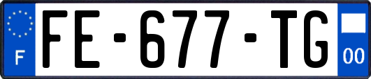 FE-677-TG