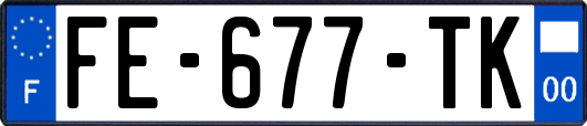 FE-677-TK