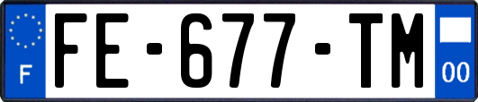 FE-677-TM