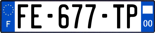 FE-677-TP