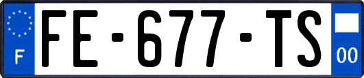 FE-677-TS