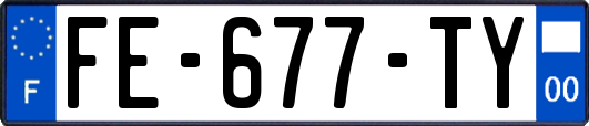 FE-677-TY