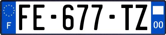 FE-677-TZ