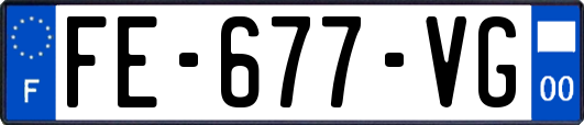 FE-677-VG