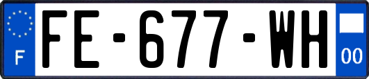 FE-677-WH