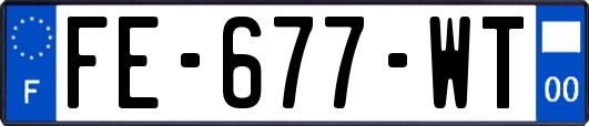 FE-677-WT