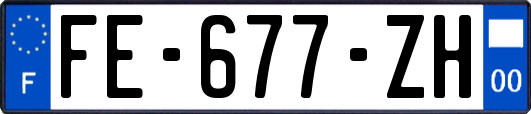 FE-677-ZH