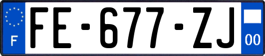 FE-677-ZJ