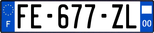 FE-677-ZL