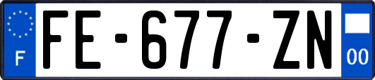 FE-677-ZN