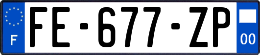 FE-677-ZP