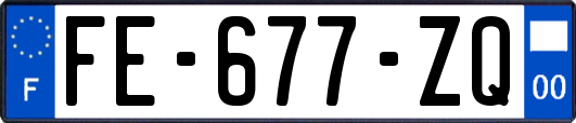 FE-677-ZQ