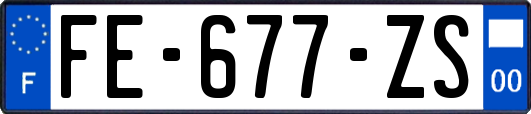 FE-677-ZS