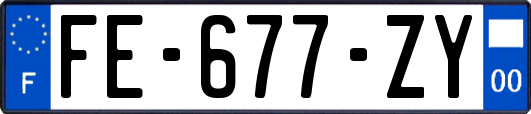 FE-677-ZY