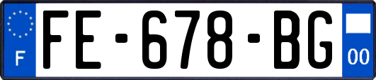 FE-678-BG