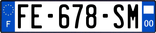 FE-678-SM