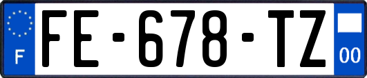 FE-678-TZ