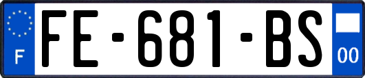 FE-681-BS