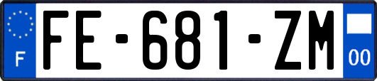 FE-681-ZM