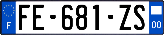 FE-681-ZS