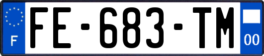 FE-683-TM
