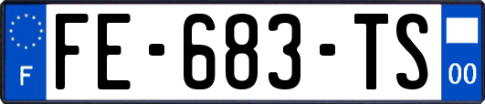 FE-683-TS