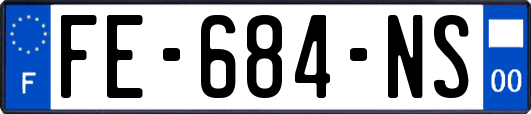 FE-684-NS