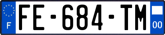 FE-684-TM