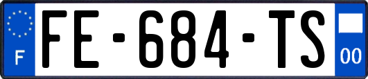 FE-684-TS