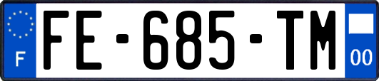 FE-685-TM