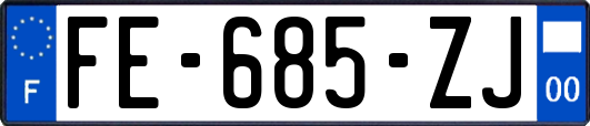 FE-685-ZJ