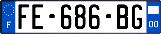 FE-686-BG